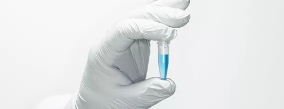 Hand with white glove holding a sample