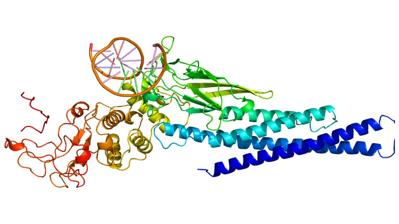 State, a cancer driving protein