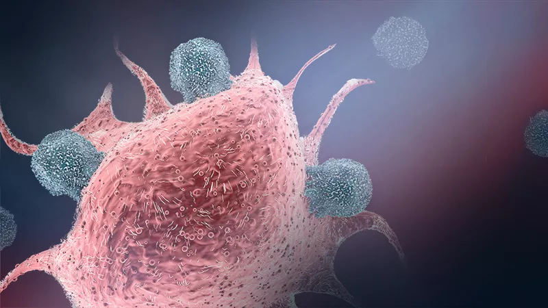 Activated T-cells (shown in blue) attack and destroy a cancer cell.