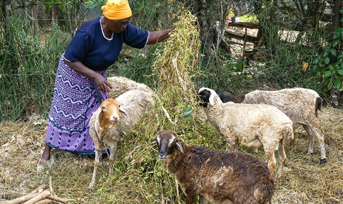 In Kiandegwa village, women like Peninah are learning how to prevent and manage hypertension and diabetes