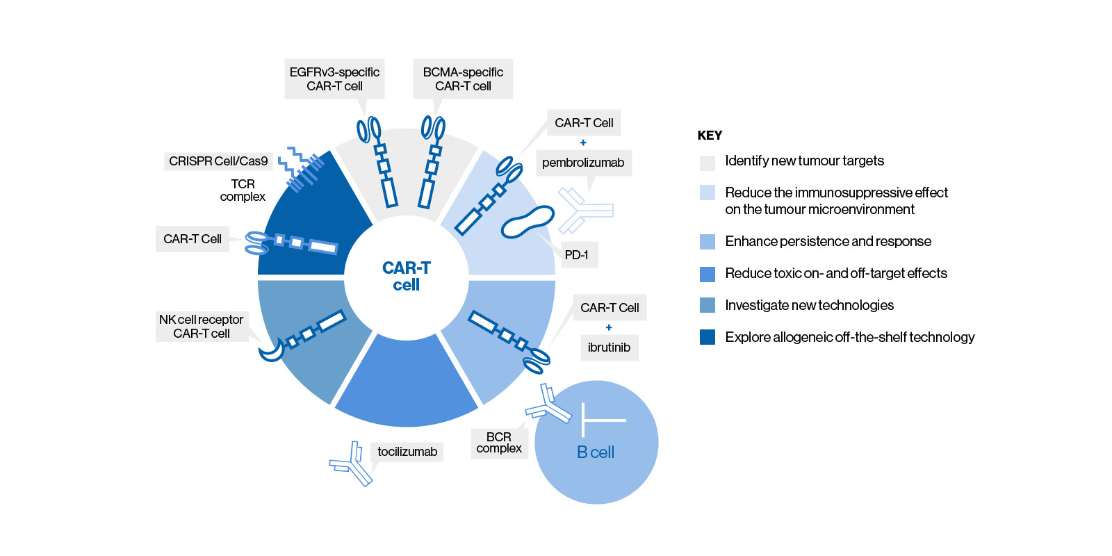 Future of CAR-T