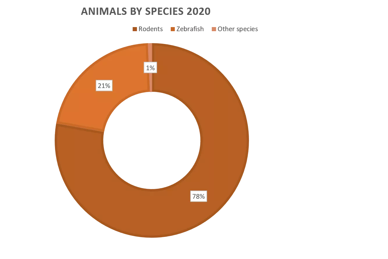 chart animals species