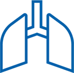 Anatomy Lungs Icon Blue