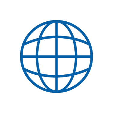 Globe icon