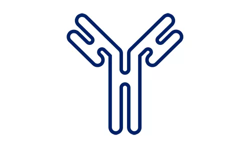 Antibody icon