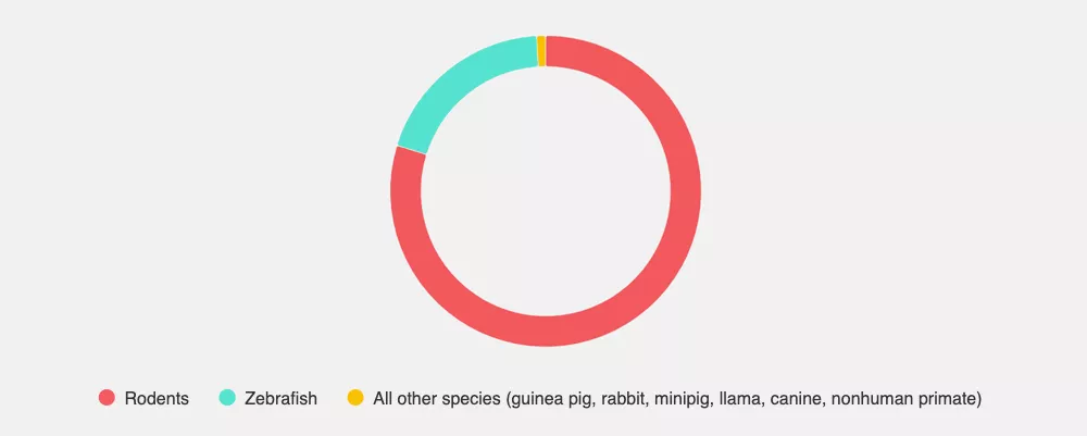 Animals needed by species in 2022 (Rodent: 80%, Zebrafish 19%, All other species 1%)