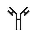 Y Chromosome icon