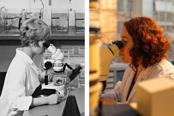 Collage of two pictures. On the left, a black and white picture taken in the 70s showing a scientist using a microscope in a lab. On the right, a scientist using a microscope in a bright and warm lab