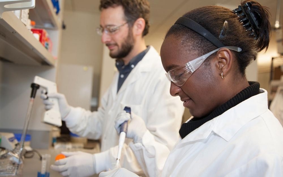 Postdoctoral researcher Sina Mohammadi (left) taught Benjamin to passage and culture intestinal tissues