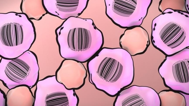 Cancer spies find drug-beating covert cells