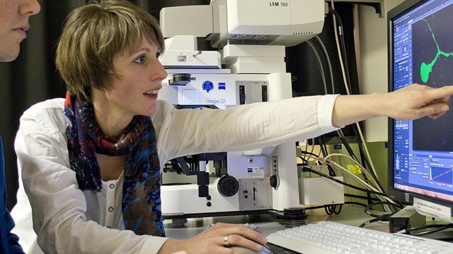 Mutant protein spreads through a neural circuit in Huntington’s Disease Mutant protein spreads through a neural circuit in Huntington’s Disease