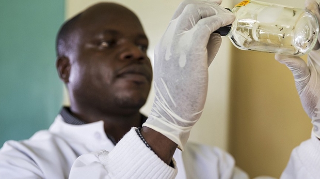 Malaria researcher Malaria researcher