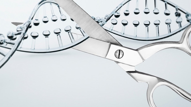Can We Edit Our Genes to Fight Disease? Can We Edit Our Genes to Fight Disease?
