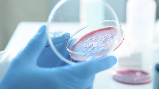 Physician-Scientist Donald Ganem takes the reins in Infectious Disease