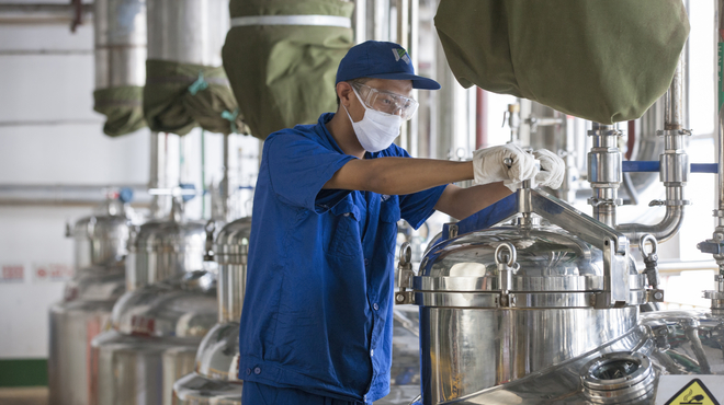 Artemisinin Extraction