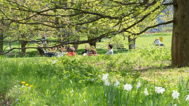 Break in the park