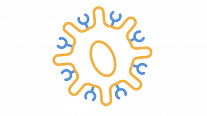 An animated overview of the science behind CAR-T cell therapy.