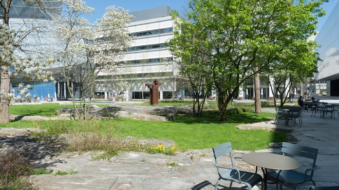 Tables and chairs next to green space