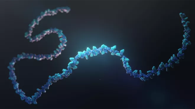 RNA strand