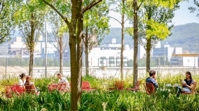 Outside meeting space on Novartis Campus Basel