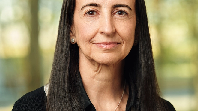 Ana de Pro Gonzalo, Board member