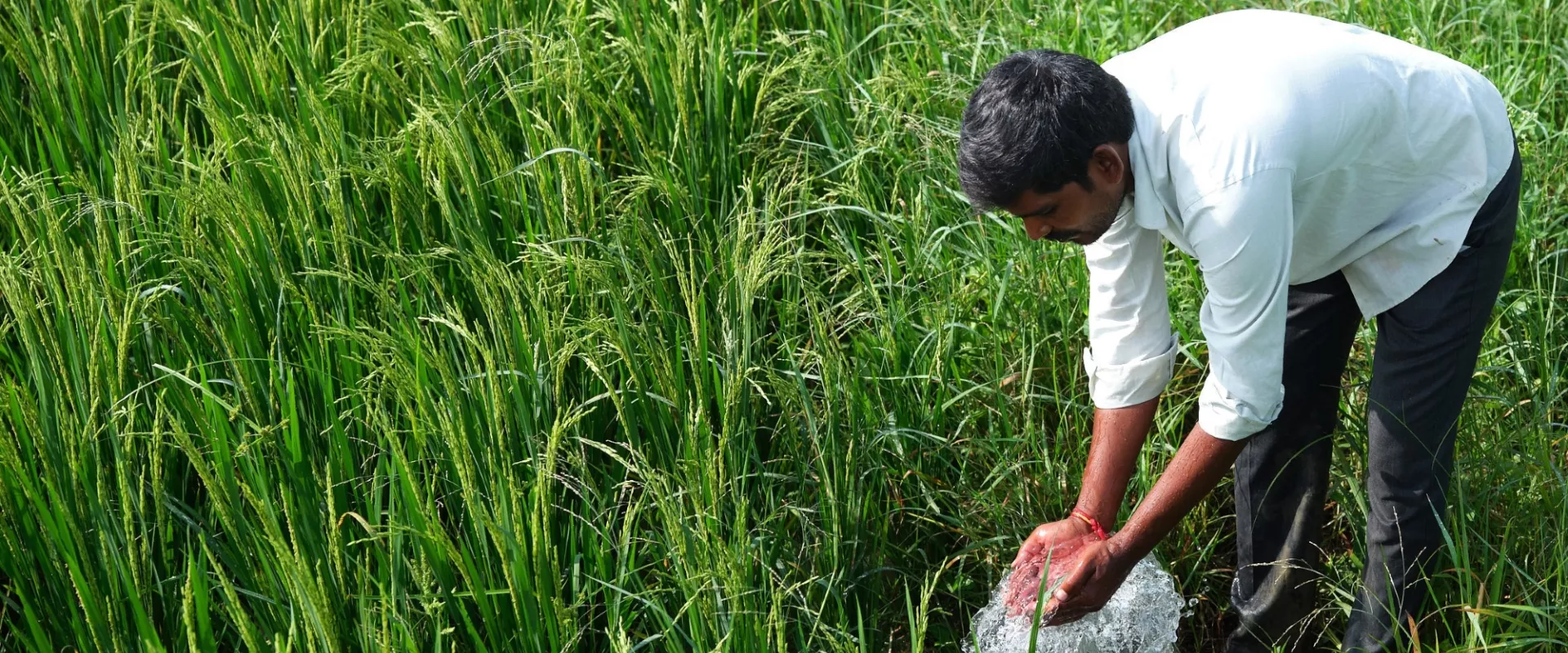 K Malesh, a farmer in the village of Sollakpally, now has ready access to water to irrigate his crops.