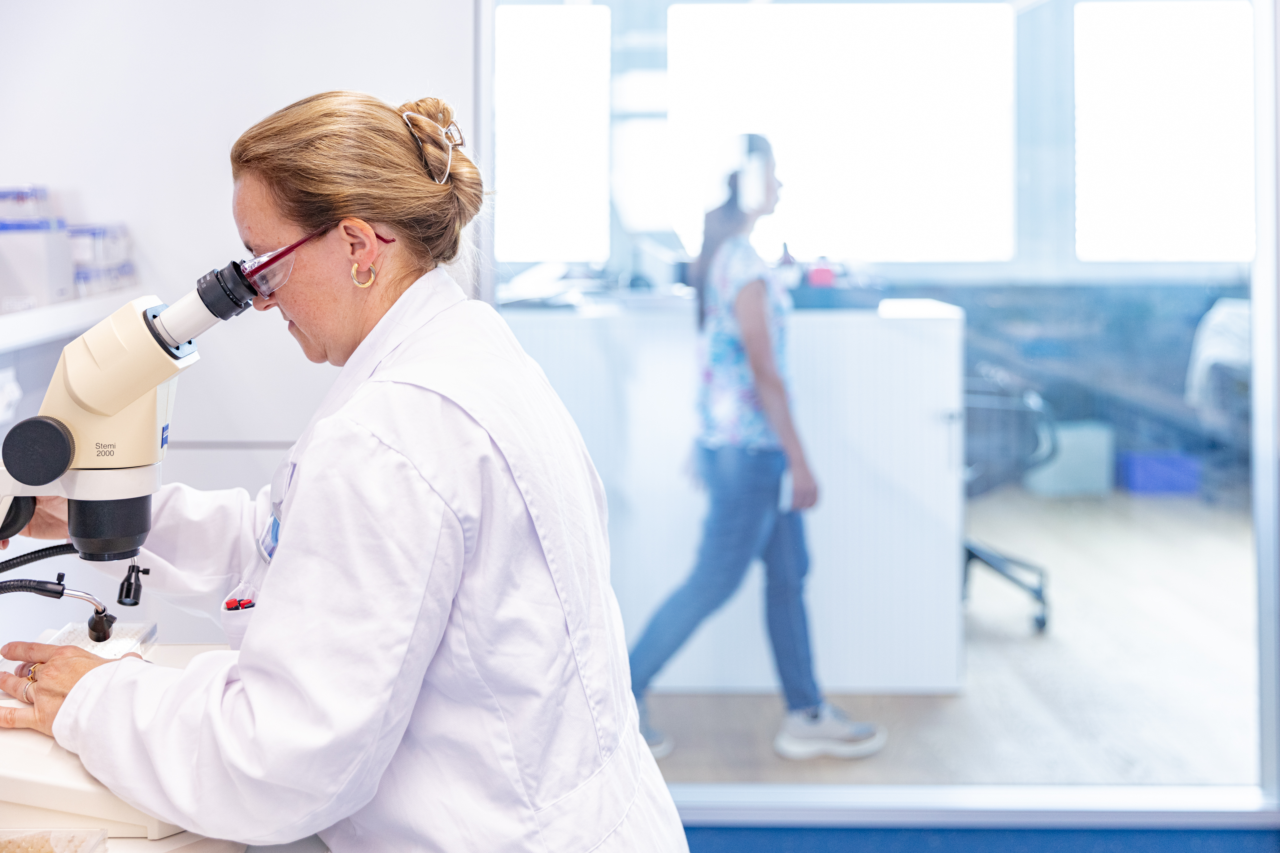 Scientist in a laboratory of Banting 1, office space in the background