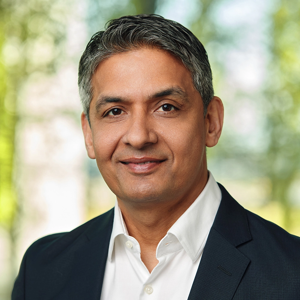 Mukul Mehta - Chief Financial Officer