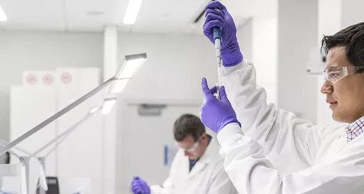 Man scientists working in lab