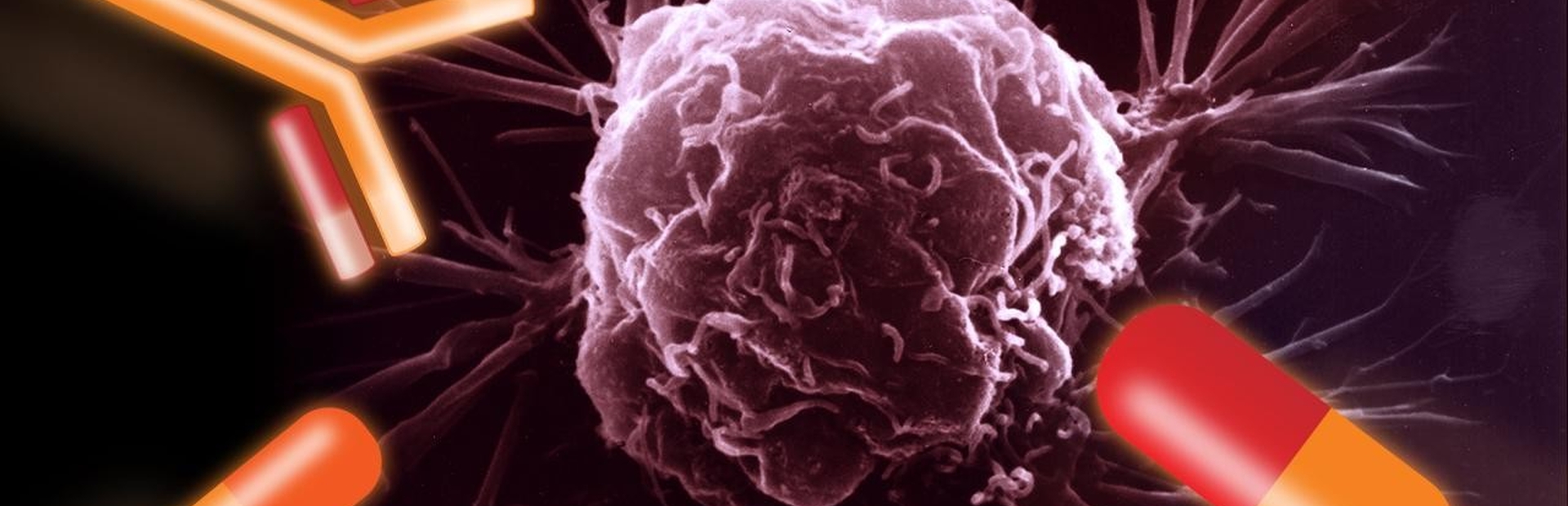 Cancer cocktails come of age