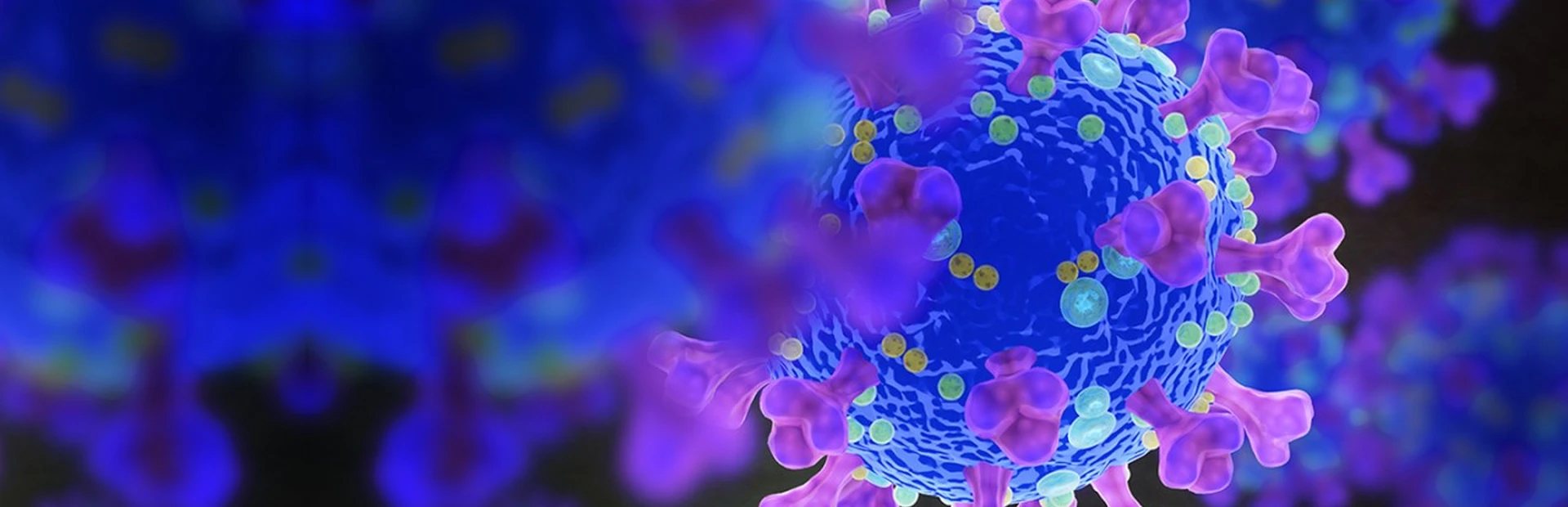SARS-CoV-2, the novel coronavirus at the root of the COVID-19 pandemic