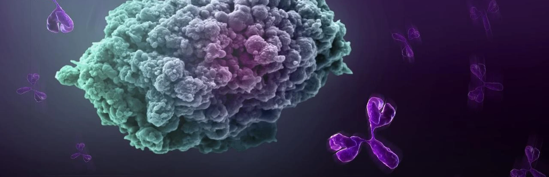 New recruit has big dreams for cancer immunotherapy