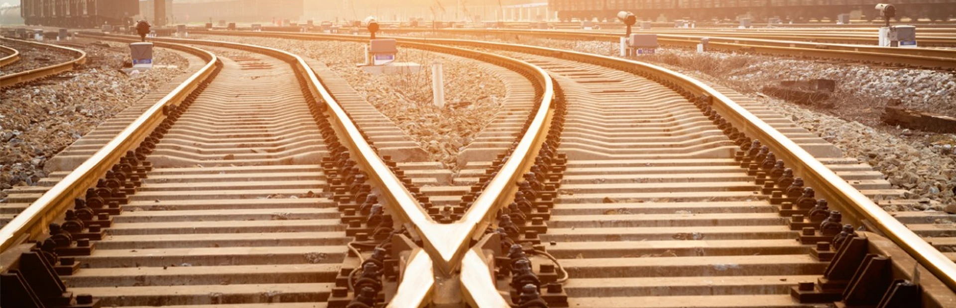 Renee Bergeron from Novartis