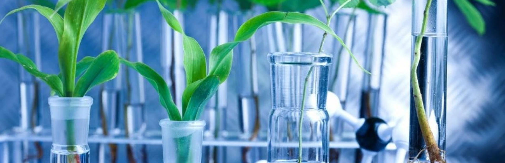 Nurturing the life science ecosystem