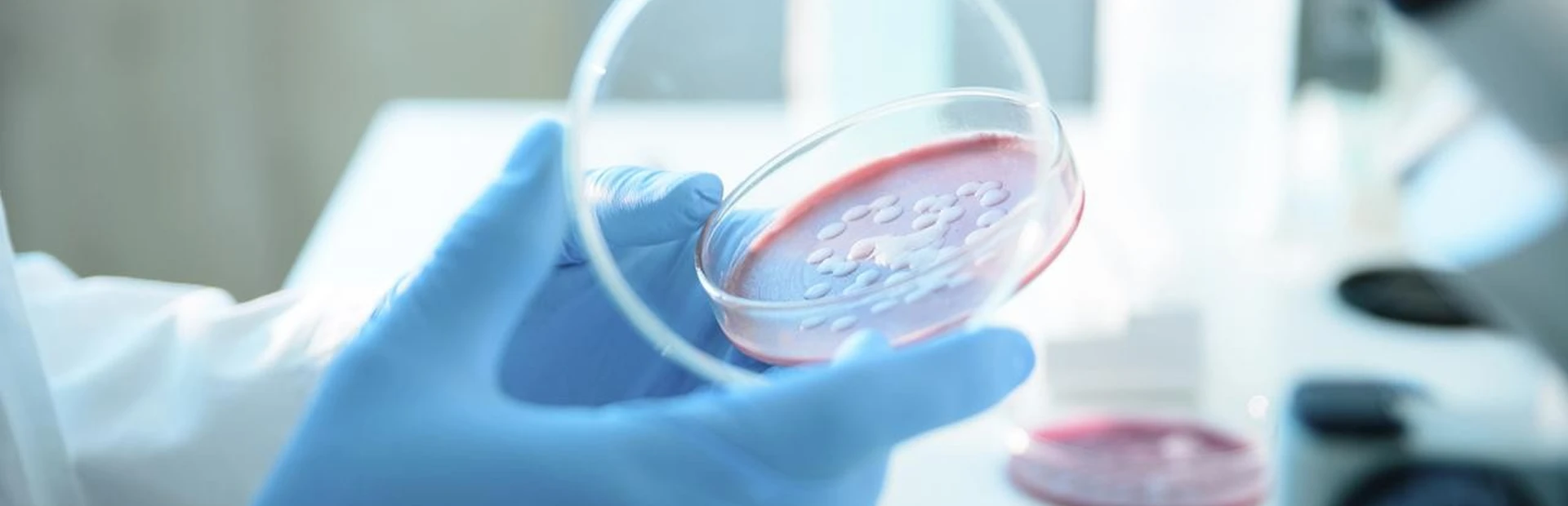 Physician-Scientist Donald Ganem takes the reins in Infectious Disease