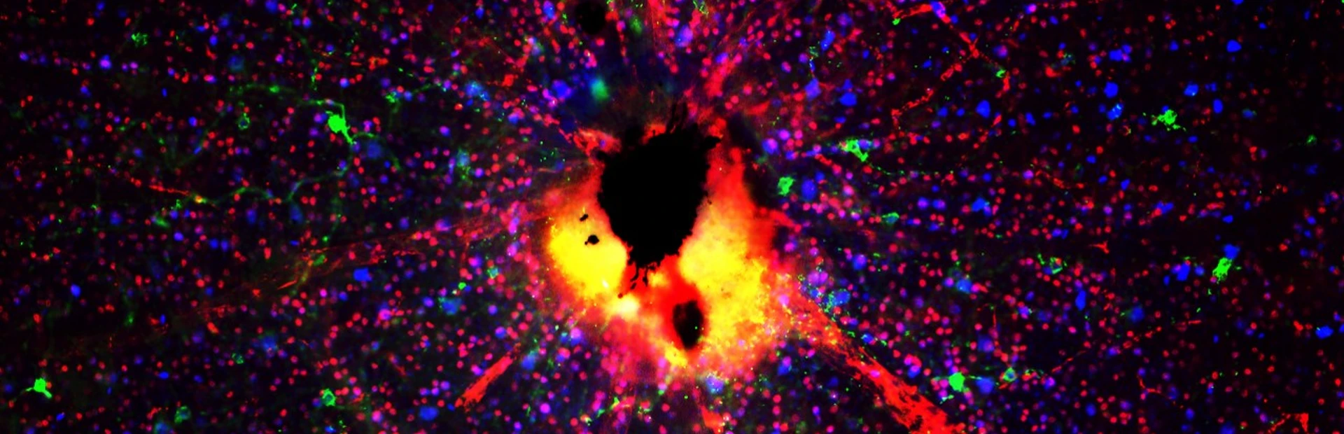 Retinal ganglion cells