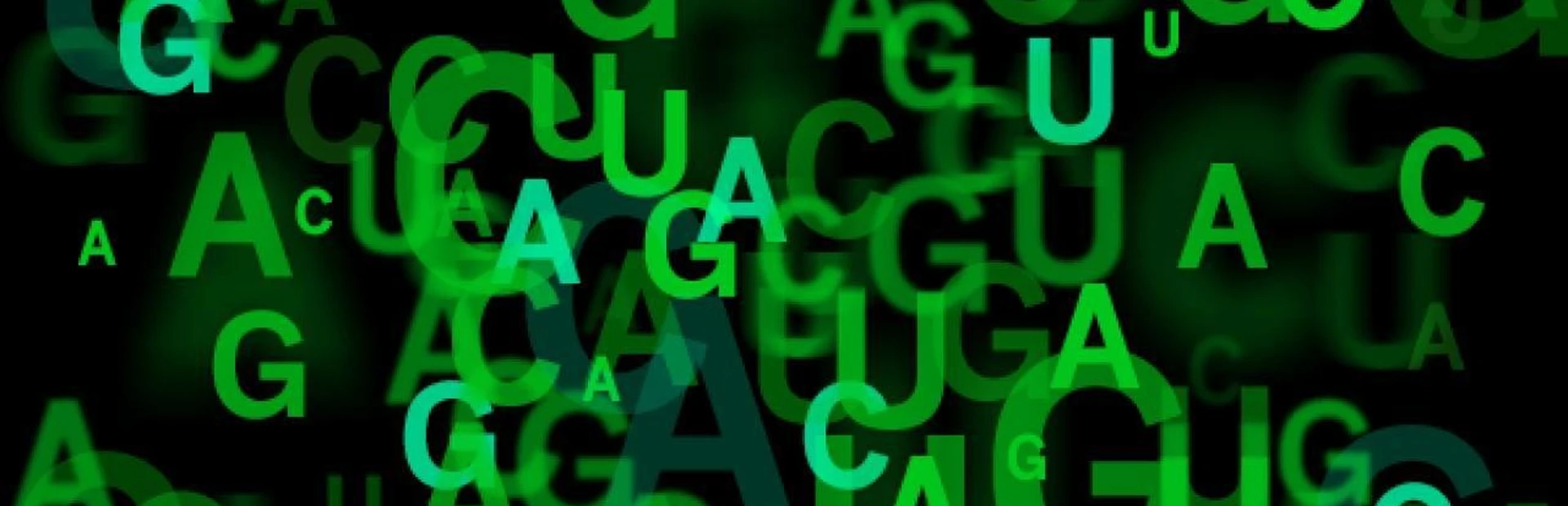 Fixing what’s lost in translation