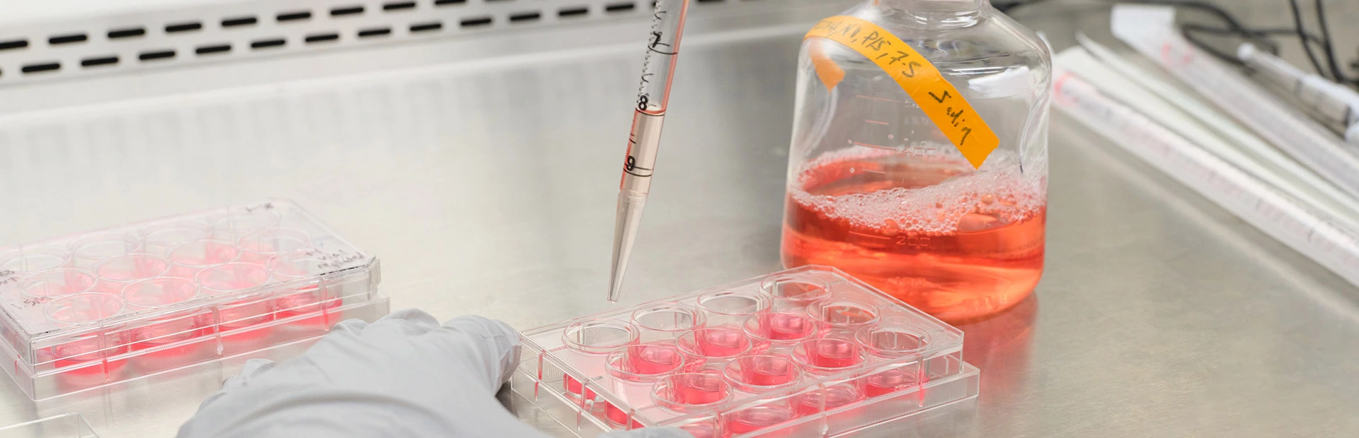 Empowering the next generation of healthcare leaders