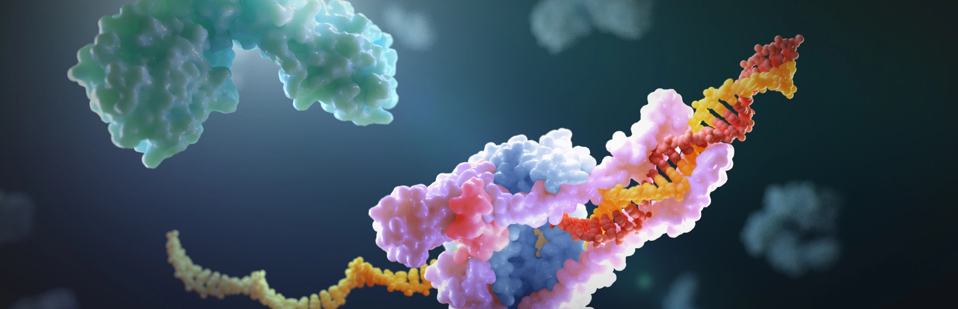 stopping this coronavirus and the next one