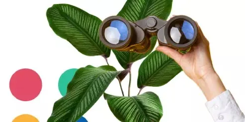 Hand holding binoculars in front of plant
