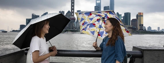 Monitor pay equity with global consistency