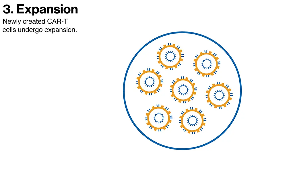 Expansion