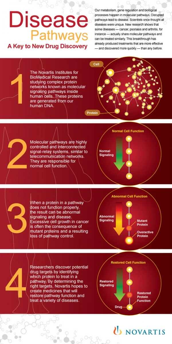 Disease pathways graphic