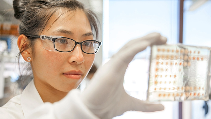 Our Process - Novartis