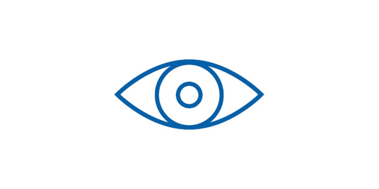 Icon of eye