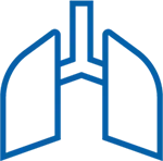 Anatomy Lungs Icon Blue