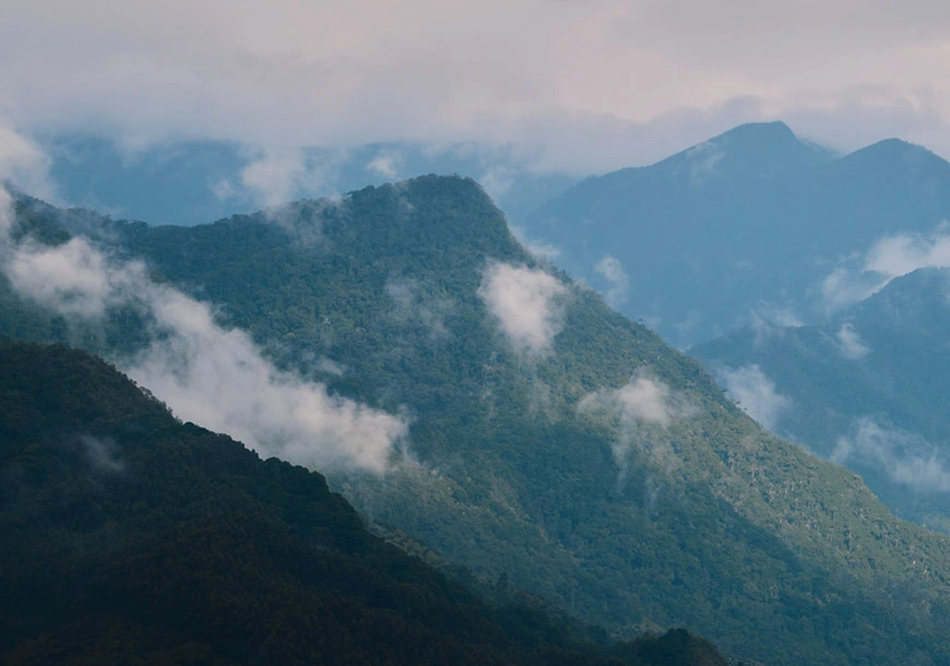 The mountains of western Colombia, where leishmaniasis is endemic