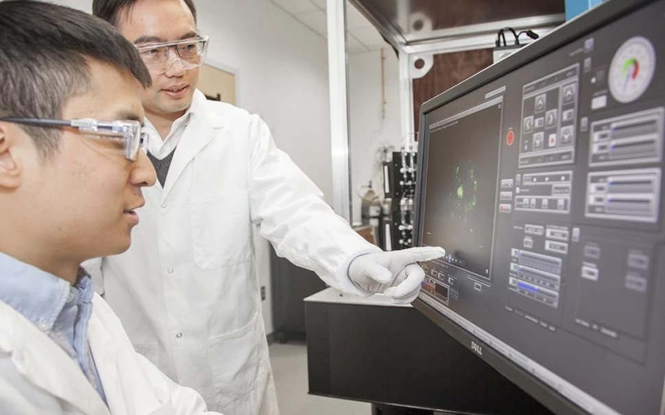 When tiny brains are best for brain research