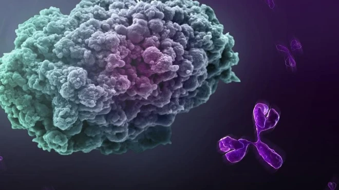 New recruit has big dreams for cancer immunotherapy