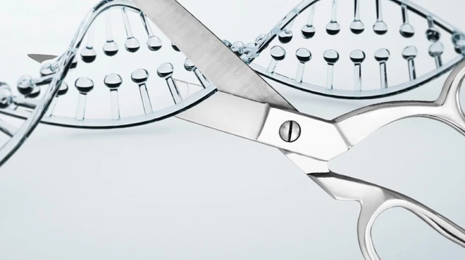 Can We Edit Our Genes to Fight Disease? Can We Edit Our Genes to Fight Disease?